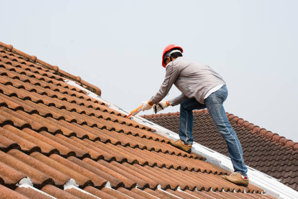 Best Gutter Installation and Repair  in Rushvle, IL